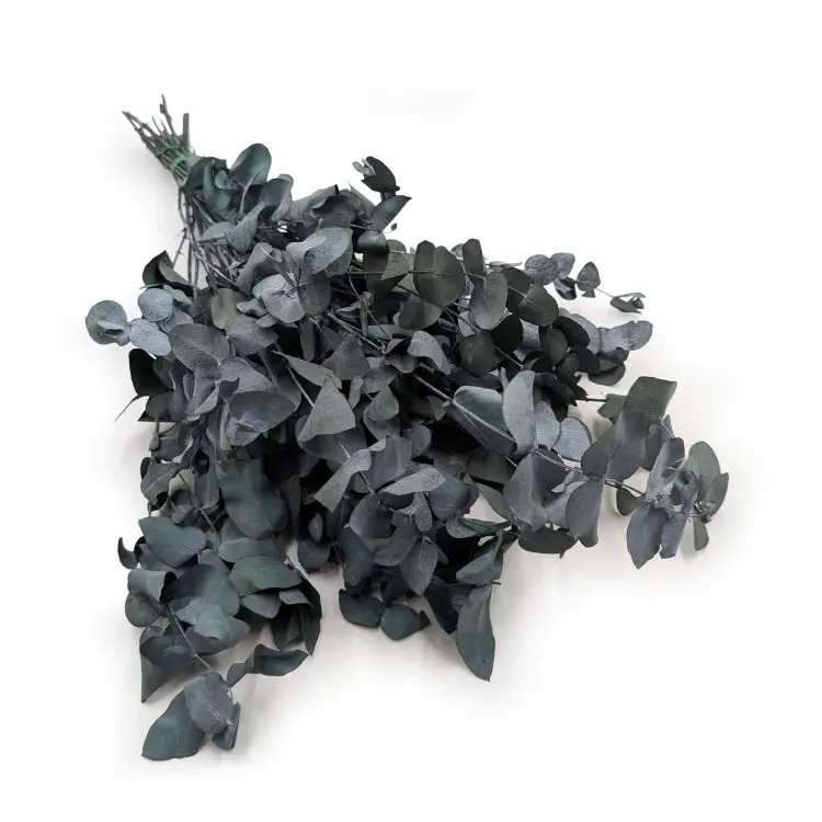 b146b59fc906169edf0900304a5c2b12