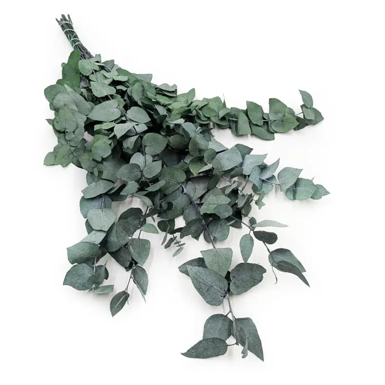 c39157f34d2f912c75d6634e964f0dec