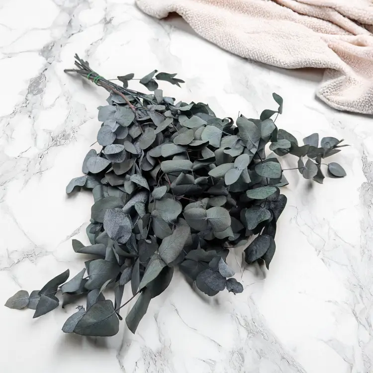 7924ce7b3fade0d7dccfbcf811d2cc35