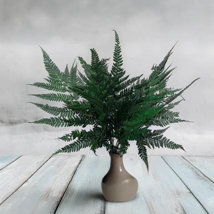 129888892a27b9350acc690fde203630