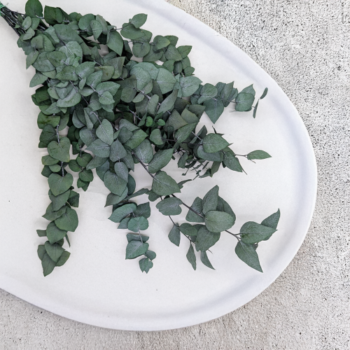 9ec2d718a5296dabe562d122c1e0ed7f