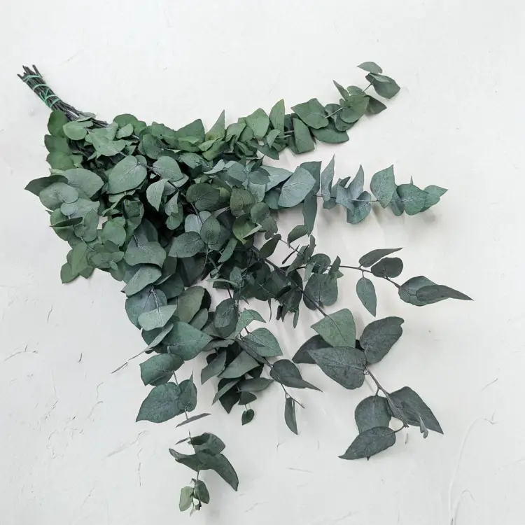 b4747a3725c89a151eec9e680c8c66aa