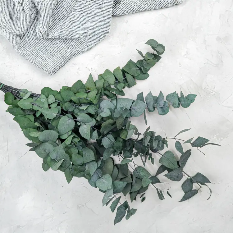 b844a3c4d730fffc43c0de814aaf7854