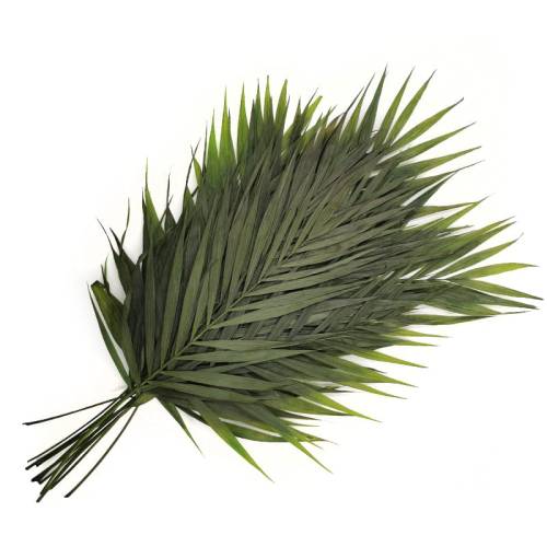 b4e65c2a96e506aeccf32e6a6ed57bc0