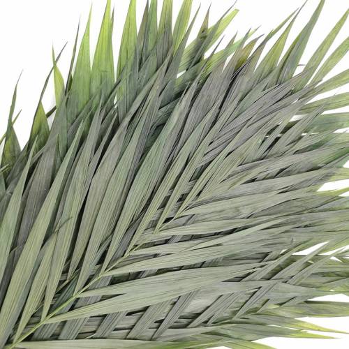 ba36eae25f35d22c8dce69bc538a327b