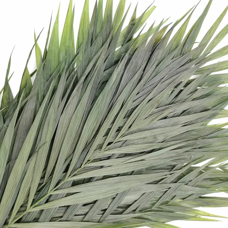 ba36eae25f35d22c8dce69bc538a327b