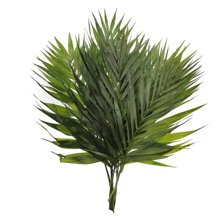 3e44cea94f3768afb4fe701d94ca9afe