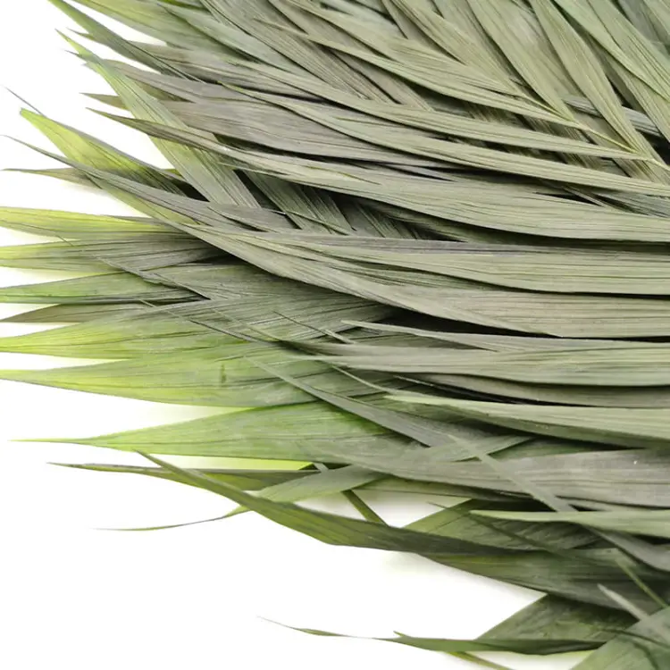 f39b843202201a2138aa03928d6973a5