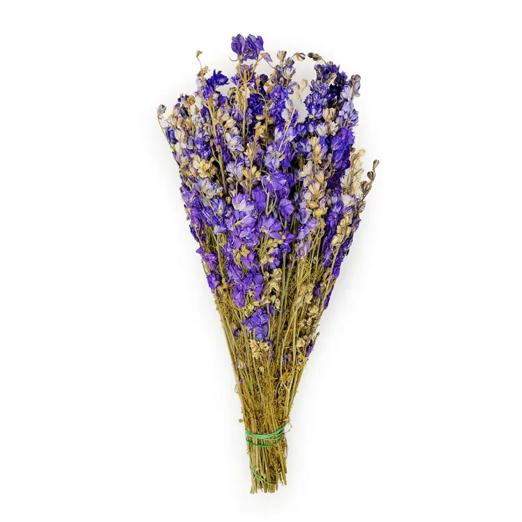 9a0f67e505399d8304a6dbeb8062455f