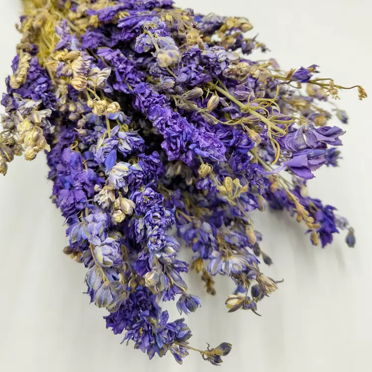 efd5d0e475cc8c3423ddaf5da8dfa98c