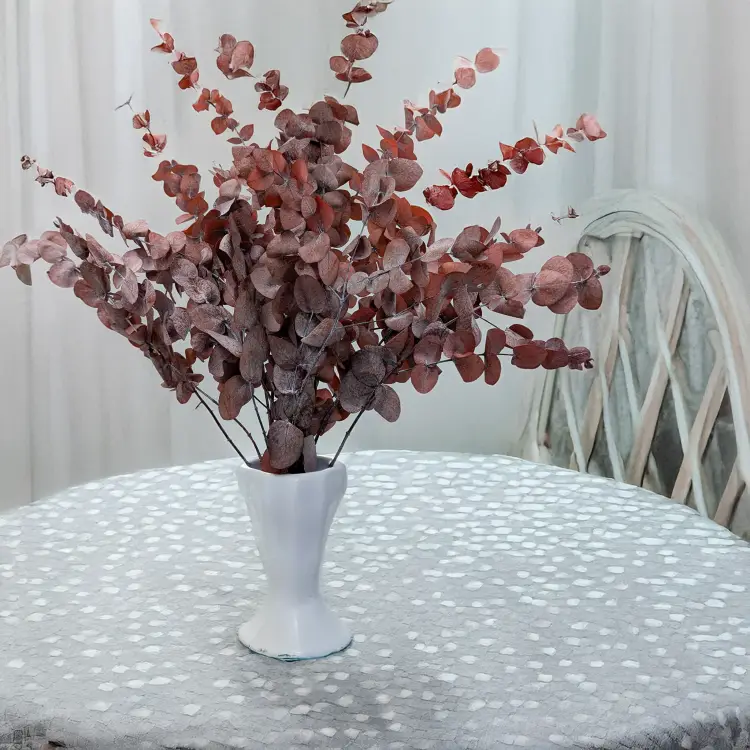 b857e03f5726d11a98e48bc0d264ea38