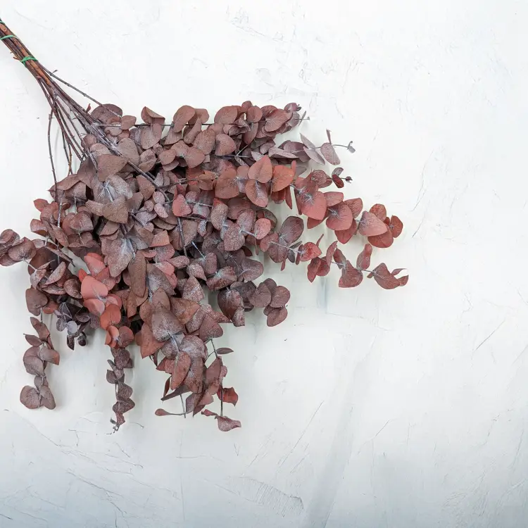 91f041d0e9c779ff3f05d473f13afddd