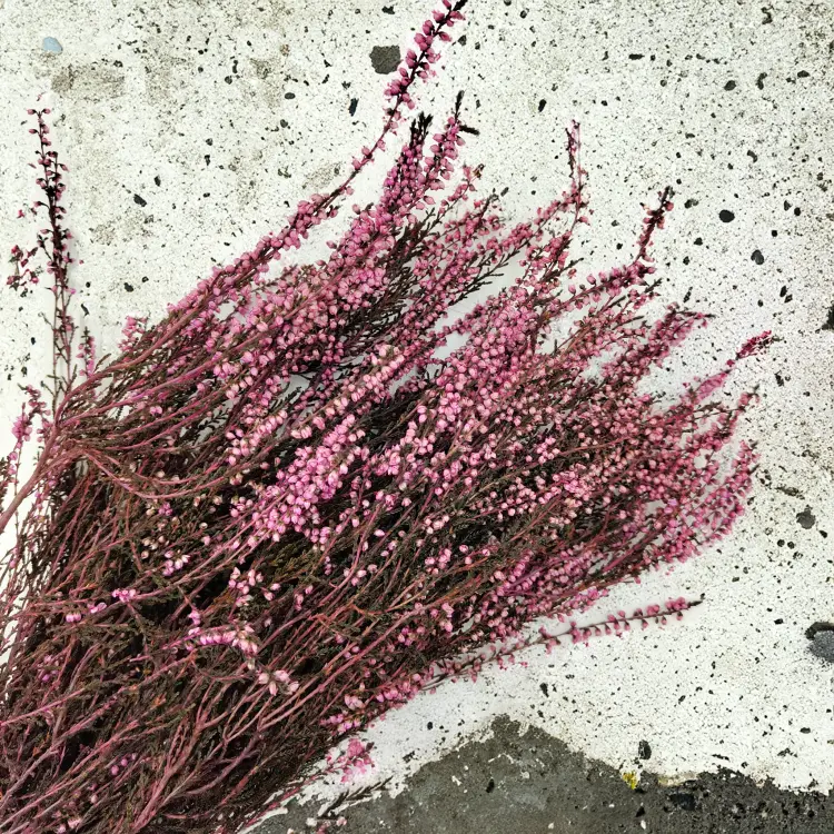 667f3a1834b9fd71f268e12ef30008ac