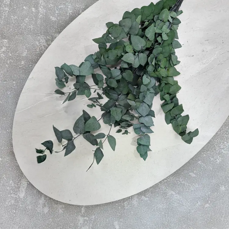 f48126977e3060e2545f2340a2409ccb