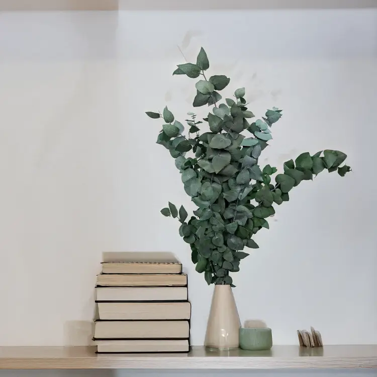 628d7deb4e9371e5e4f72b6f3eaef671