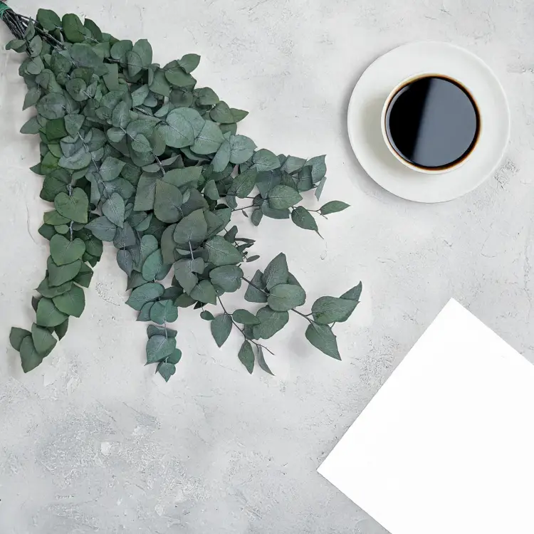 37f1d3da55d16768599e1437fa0369fd