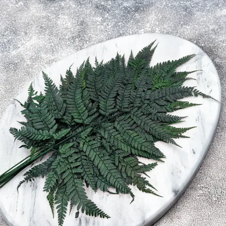 866d501f07940ff18bcb8fd50a7c150f