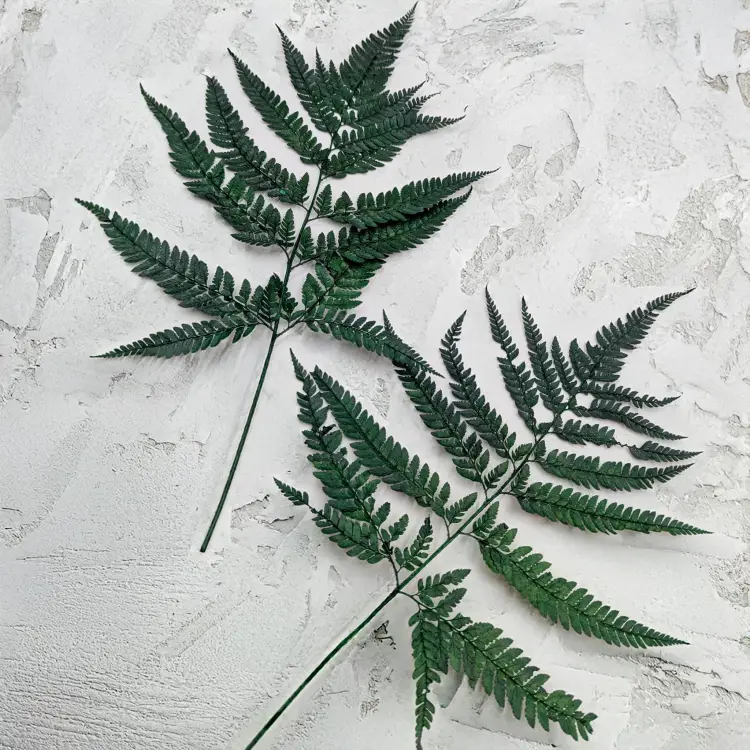 5b939a2015562333d8eba4b01ccc40b0