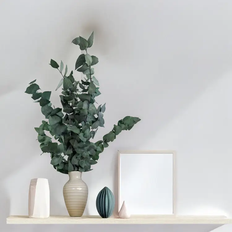 5aeaf66a871a84aa26c2d926859870f1