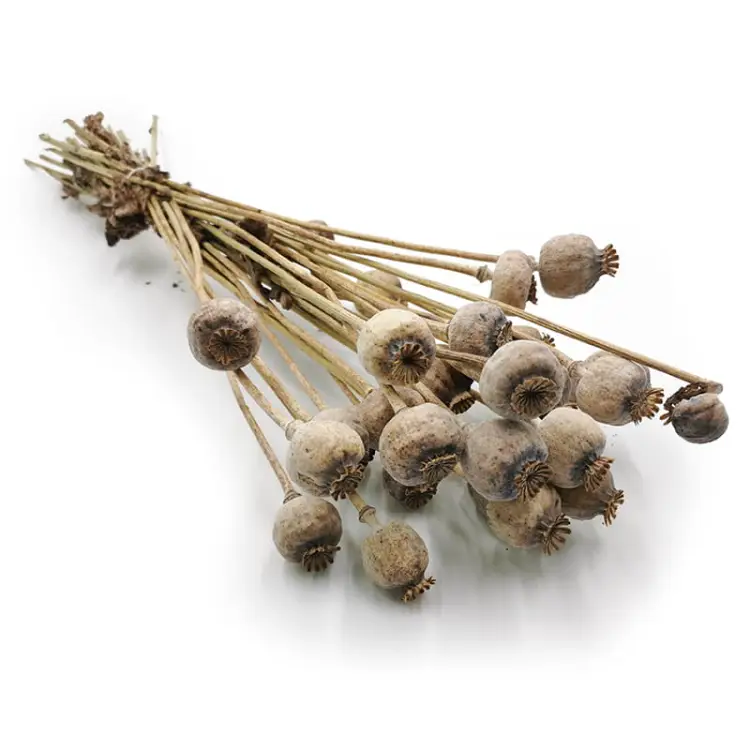 bdc13f77ed2e94f1552e70a96c34bd93