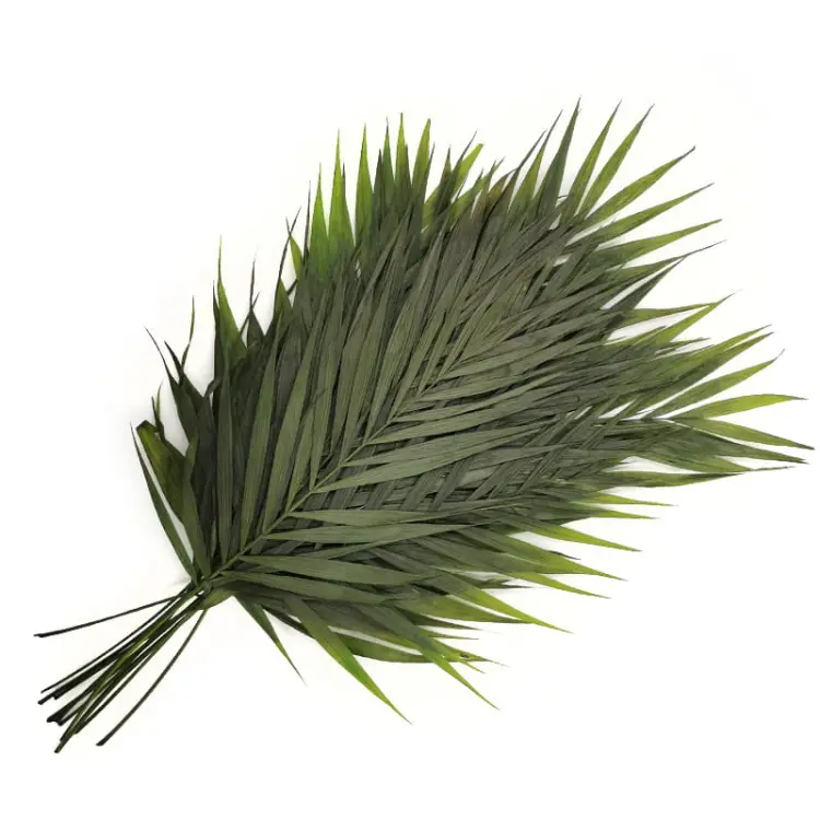 b4e65c2a96e506aeccf32e6a6ed57bc0