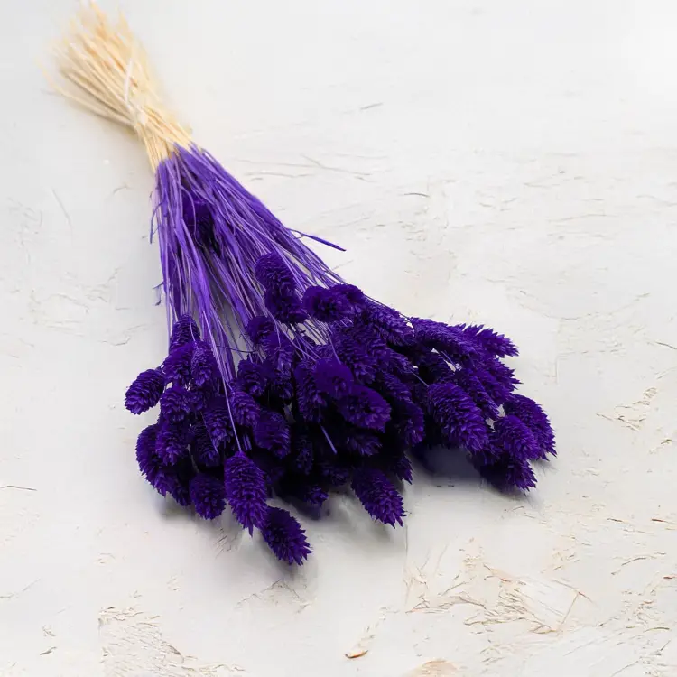 a7816034de2962a42f5170eb6b2318c9