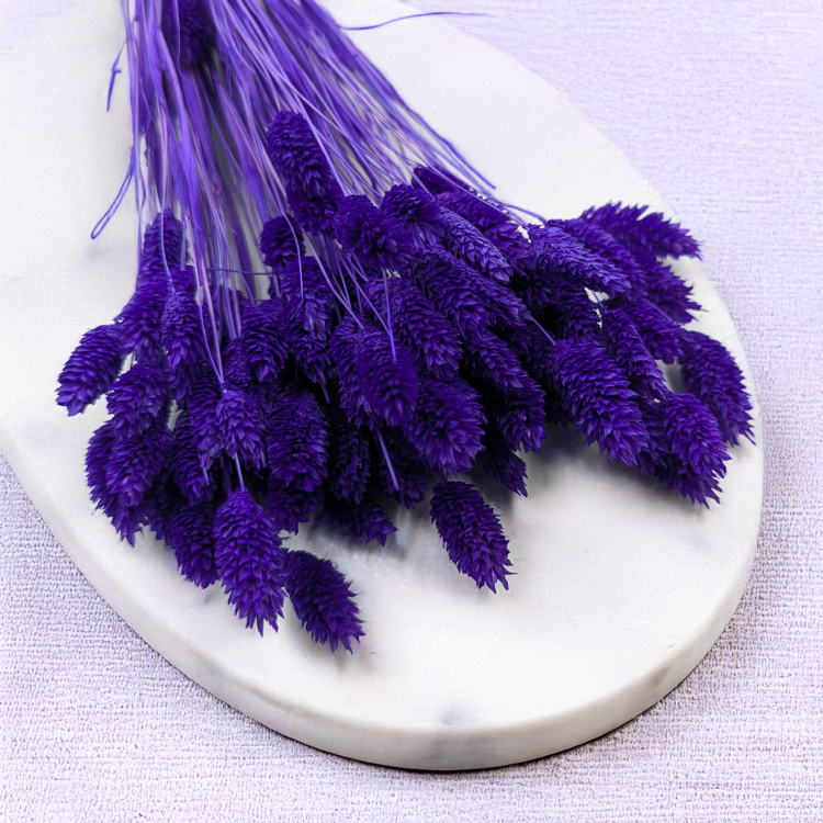 623f90326624d4609dd4b9d1296a66d9