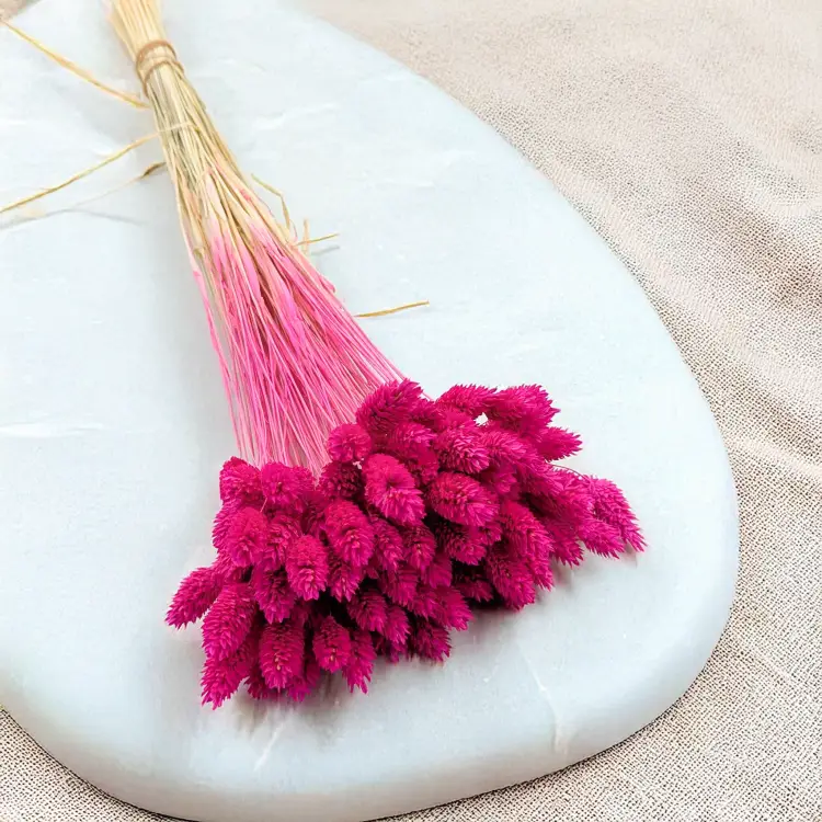 707b24f79a0bdee9fd0d875d4fa8537c