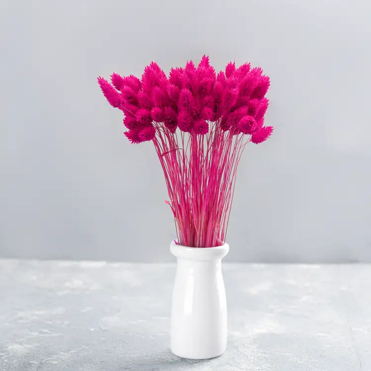 2fc112ecbbe2186f92e2b7a569d1146a