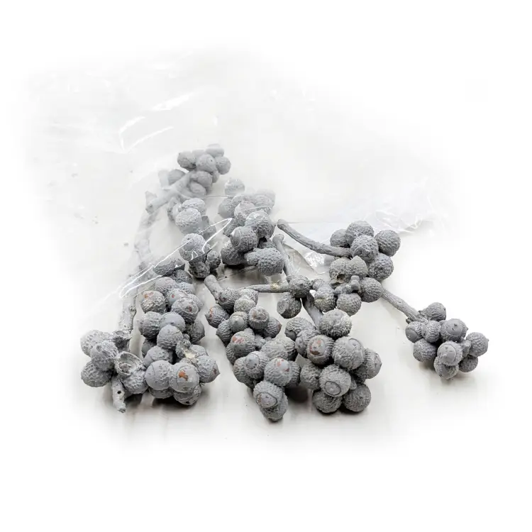 d8fdec2703e65a1dc10319bffbbd8a95