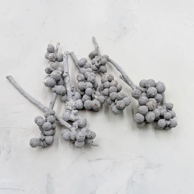 aef8f61b876bd84cbd6080542c567dab