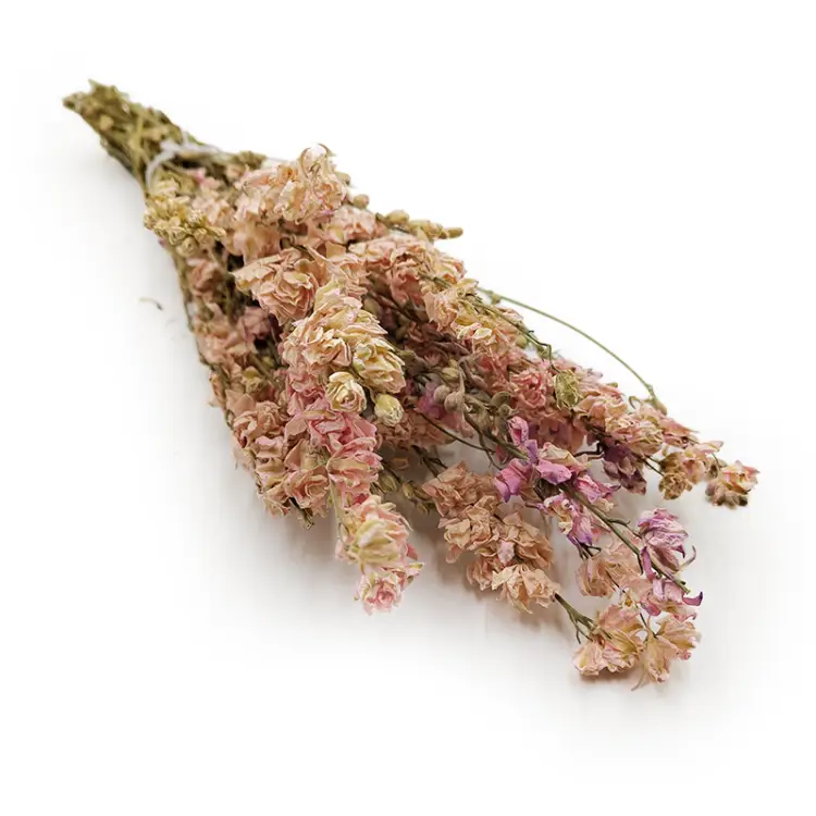 92035d6a5caab56bd292529b22cdb921