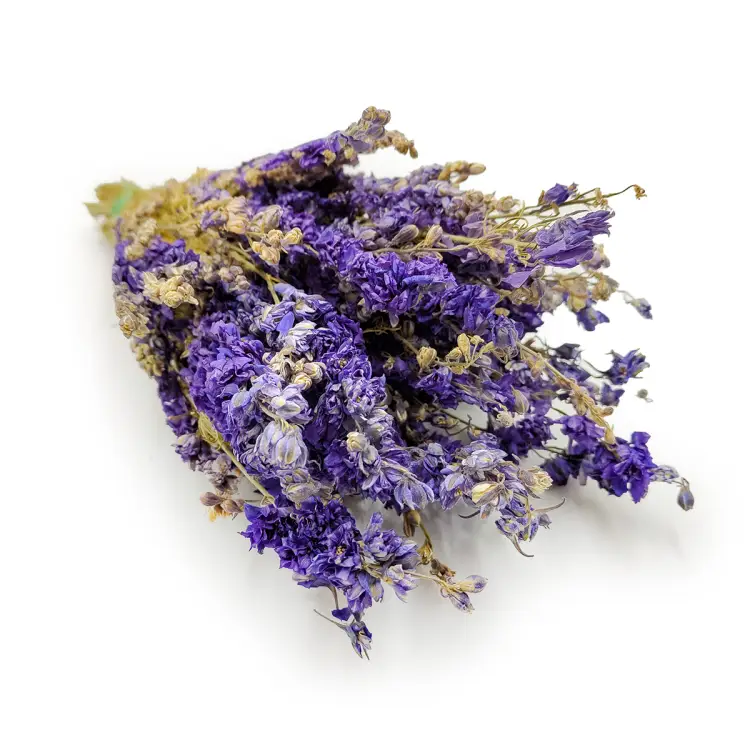 d5ae8cf9cef8380534cd6e0b59d01101