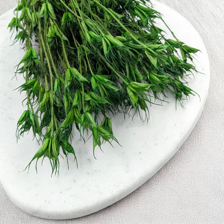 10e64feada296fa874ba8a014494c83e