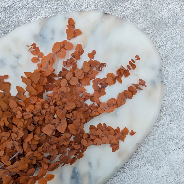 e76c89230d2f9016481dbb4ac9e0e87b