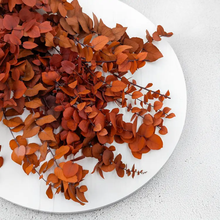 79a2b8118a5dcc24425f908c0155eb67