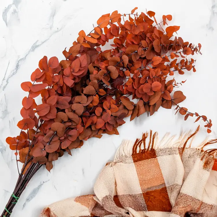 95cb5041f44ebeafab91efd3bcb7a740