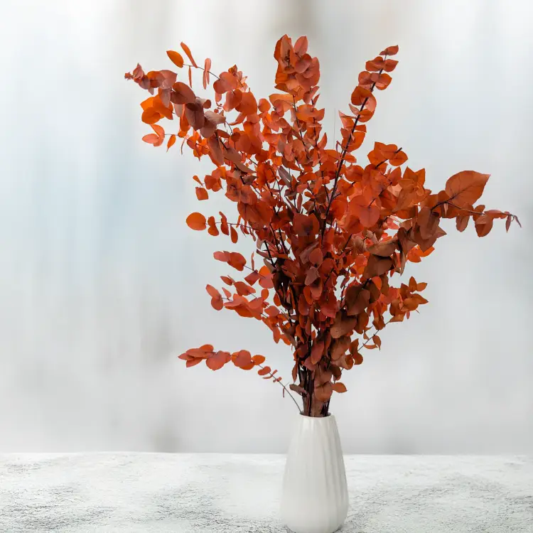 b0a2745ea857139f32e80715a3204a47