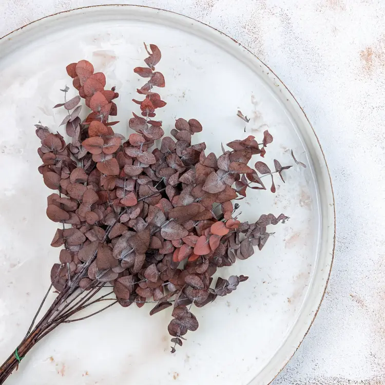 7edd22ad348b0b045ed4d1233fed285e