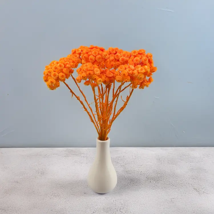 cf288bfb4ac6e4fedb6174888a223724