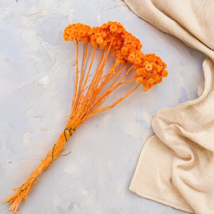 efb58d0b87677641eeaba289957404ad