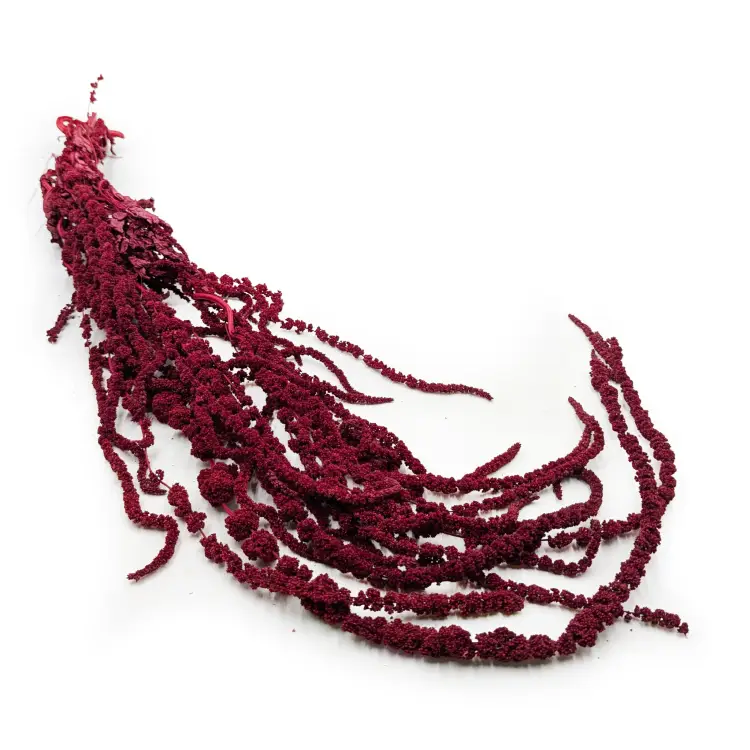 145f92483ea034e08815f7a83c9b39ea