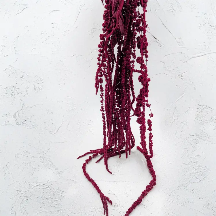 0ca3c6797ee99292e4840957d254e40f