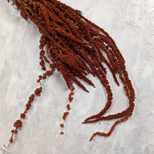 1d67ebda3816b6253aef2ba9a637c2ec