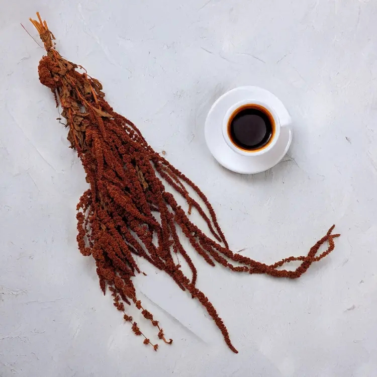 0fcd4645d0d1e02a1d28b50bee7a4b3a