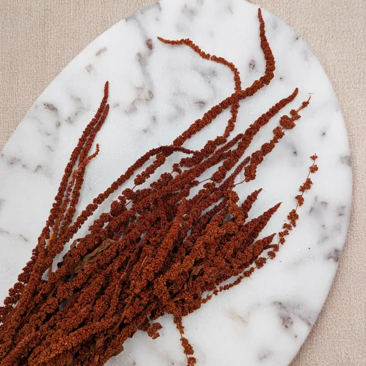 ff1b6799fdd8c945966a355402a7caa7