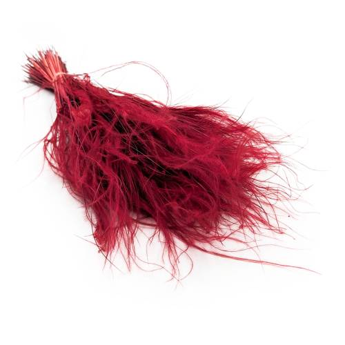 34f8258de69ca183d4c998c553ec2358