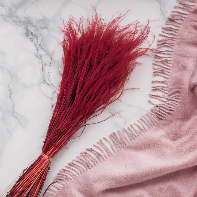 529b313ccbbaebbfcf8315adf2af73dd