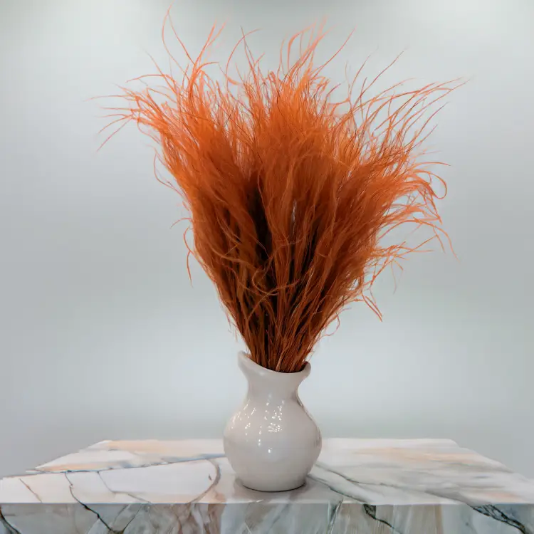 e14844dab33cae8d9aefb6cf923d4bcc