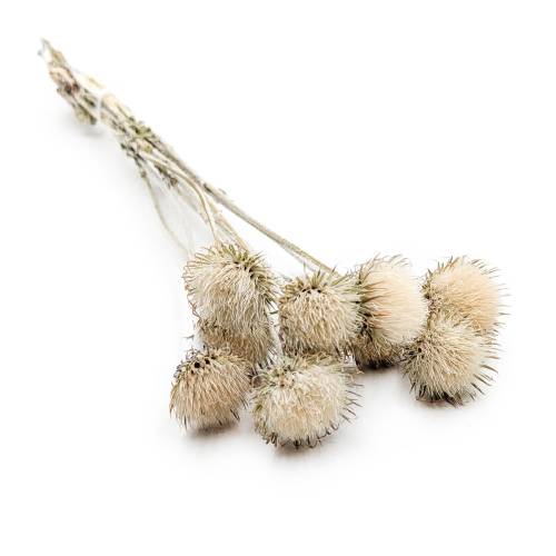 a2d965e5177dd59a41e2152dbf890784